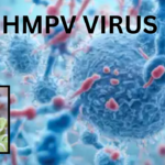 hmpv virus in india