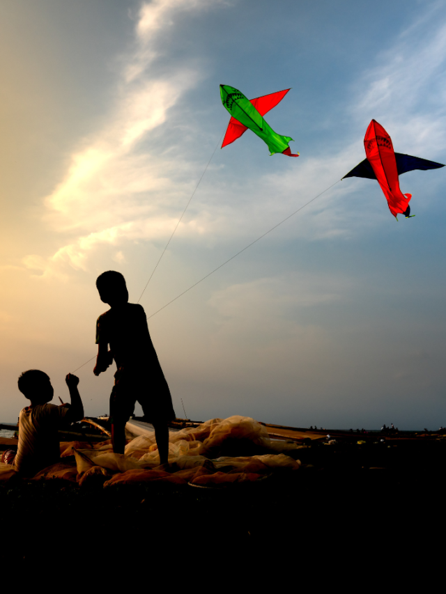 मकर संक्रांति 2025: पतंगों और फसल का त्योहार